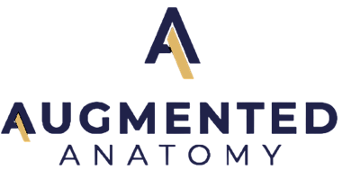 augmented anatomy