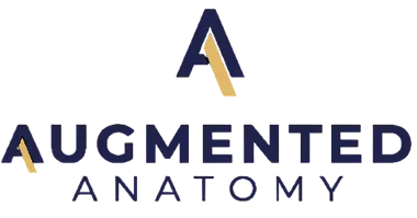 augmented anatomy
